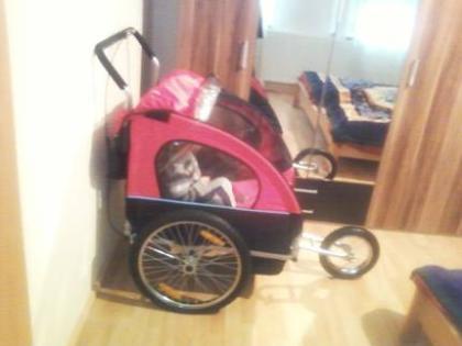 NEUE Jogger 2in1 Fahrradanhänger Kinderanhänger