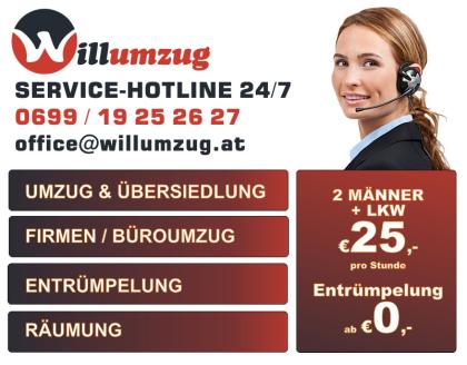 Willumzug Mann LKW 19 -