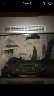 Verkaufe Terrarium Schrank