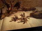 Pogona Vitticept rot-gelb