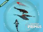 Koi Handpic - Select 18/20 Tripple A Breeder Primus