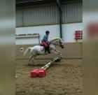 Reitebeteiligung