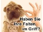 Faltenbügeleisen