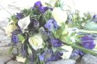 Karin Beck BE4U Events - www. be4u. at - mehr Informationen auf meiner Website