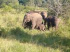 Sri Lanka auf neuen Wegen zu Entdecken.