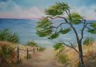 Urlaub Malen Hiddensee Bob Ross Malurlaub auf Hiddensee an der Ostsee