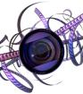 WIEL Videoproduktion Musikvideo ab 590 Euro