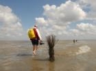 An der Nordsee zu vermieten Familienfreundliche Ferienhäuser und Ferienwohnunge