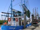 Urlaub und Ferien im Nordseebad Dorum-Neufeld zwischen Bremerhaven und Cuxhaven