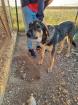 Jenny sucht ein passendes ZUhause