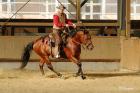 Bosals Mecaten Headsets Reins Ropes Bits Westernsättel