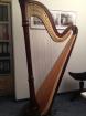 Lyon Healy Style 85 Concertino mit breiten Resonanzkörper