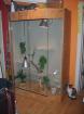 Selbst gebautes Terrarium