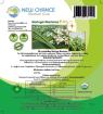 Moringa Morisana Pflanzenextrakt Natur pur